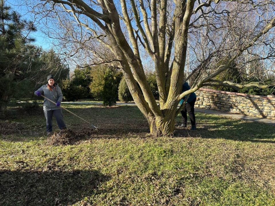 ��������� ������������� ���� �������� ������� ��������� �� ���������� ���������, ������������ �������� ������ � ���� ������� ������������� �����