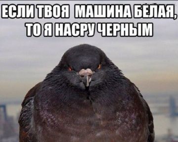 �� ��������� ������� � ���� ������ ����� �� 3 000