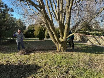 ��������� ������������� ���� �������� ������� ��������� �� ���������� ���������, ������������ �������� ������ � ���� ������� ������������� �����