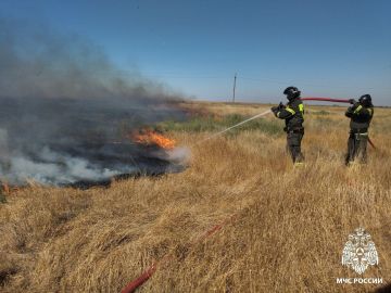 За минувшие сутки в Херсонской области был ликвидирован один ландшафтный пожар