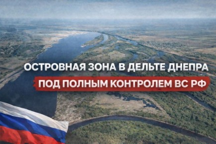 Островная зона в дельте Днепра под полным контролем ВС РФ