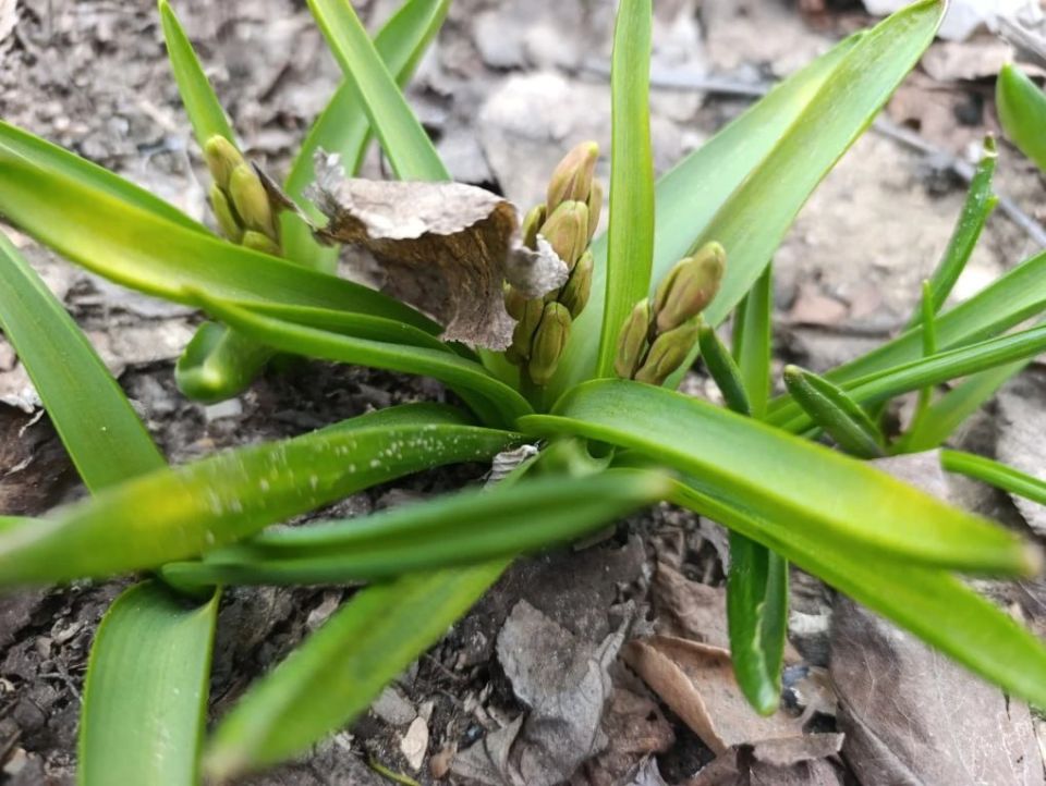 ���� ��������: ������ ����, ������ � ����� ����������� ������!