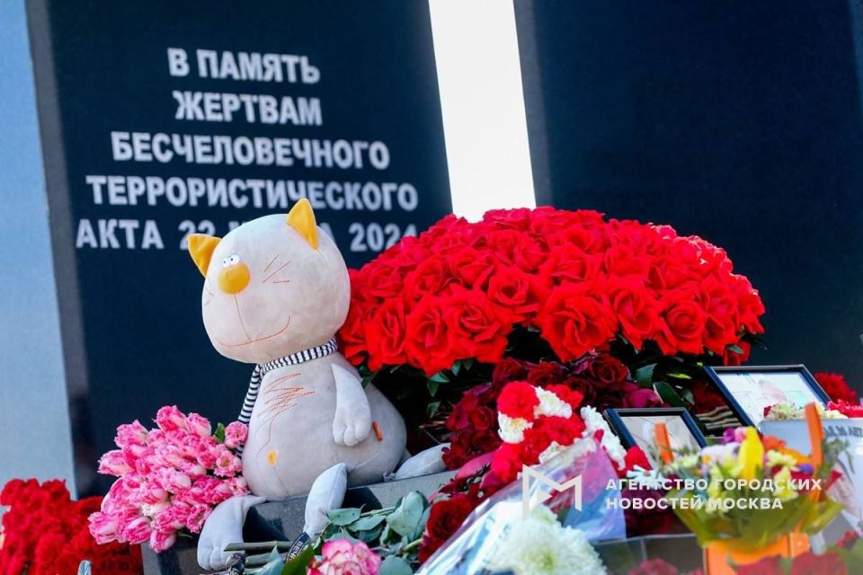 ���� ������ ����� ������� ������� ���� ����