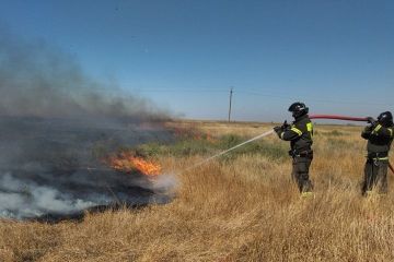 Спасатели Херсонщины за сутки потушили ландшафтный пожар