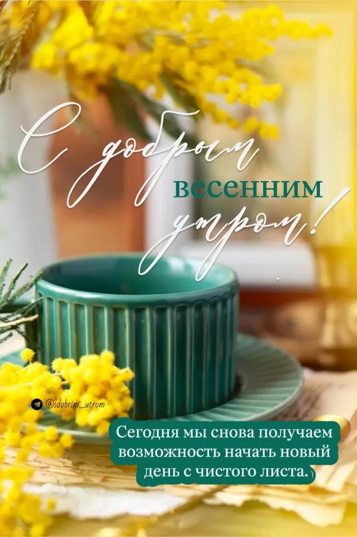 Доброе утро, уважаемые жители округа!