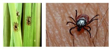 � ���������� ������� ������ ��������� ������ �������