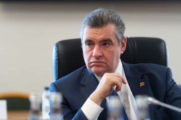 ЛДПР разработала законопроект о праве граждан на доступ к интернету, свободу выражения мнений в сети, выбор способов общения и защиту персональных данных