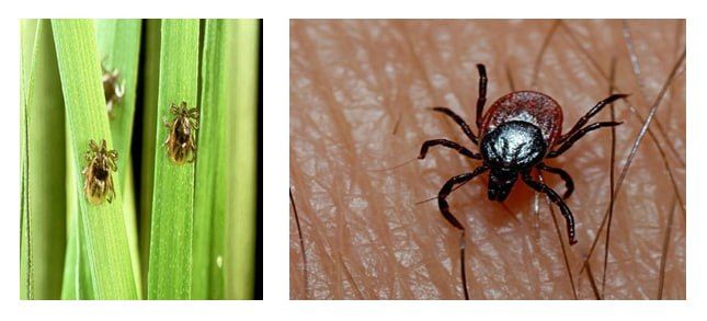 � ���������� ������� ������ ��������� ������ �������