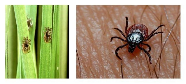 � ���������� ������� ������ ��������� ������ �������