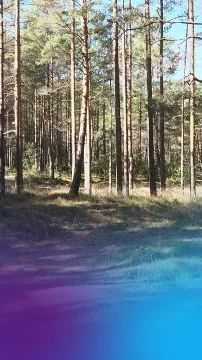 Новости зеленой экономики. РУСАЛ запустил первый электролизёр без выбросов CO при производстве алюминия Обычно при производстве алюминия используют угольные аноды — они горят и выделяют CO. Новая технология работает без...