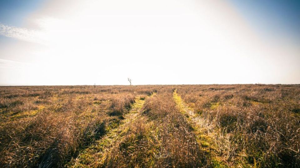 ������ ����, ����������!. ���� � ����� ����� ���