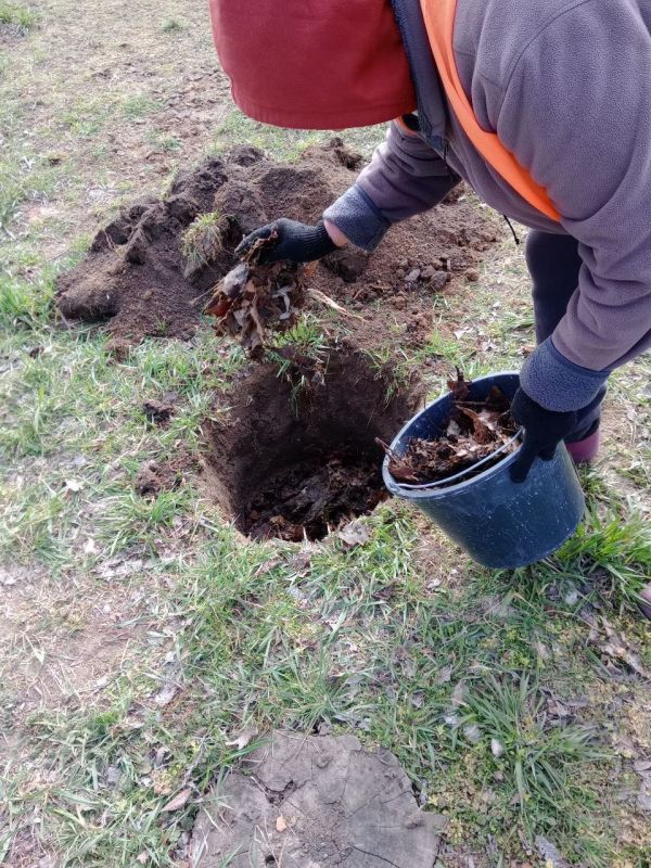 � ���������� ������ ������������ ������ �� ���������������