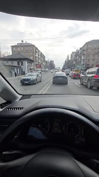 Енот из Херсона: Хочешь жить - умей быстро бегать или драться