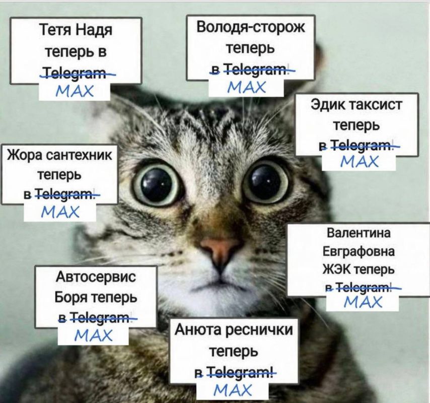 Встречаемся в нашем канале в MAX!