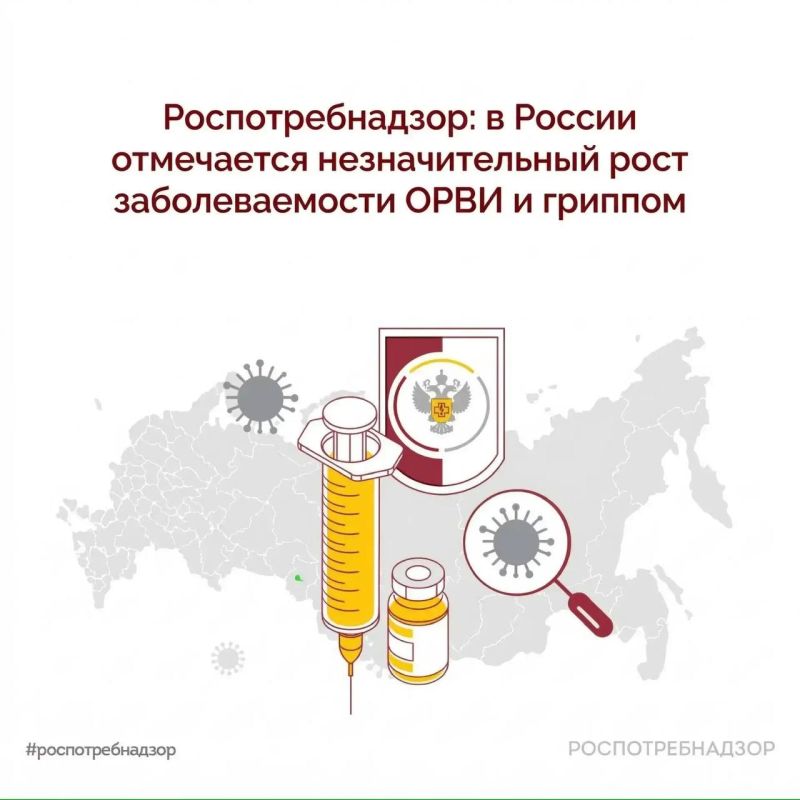 Роспотребнадзор: в России отмечается незначительный рост заболеваемости ОРВИ и гриппом