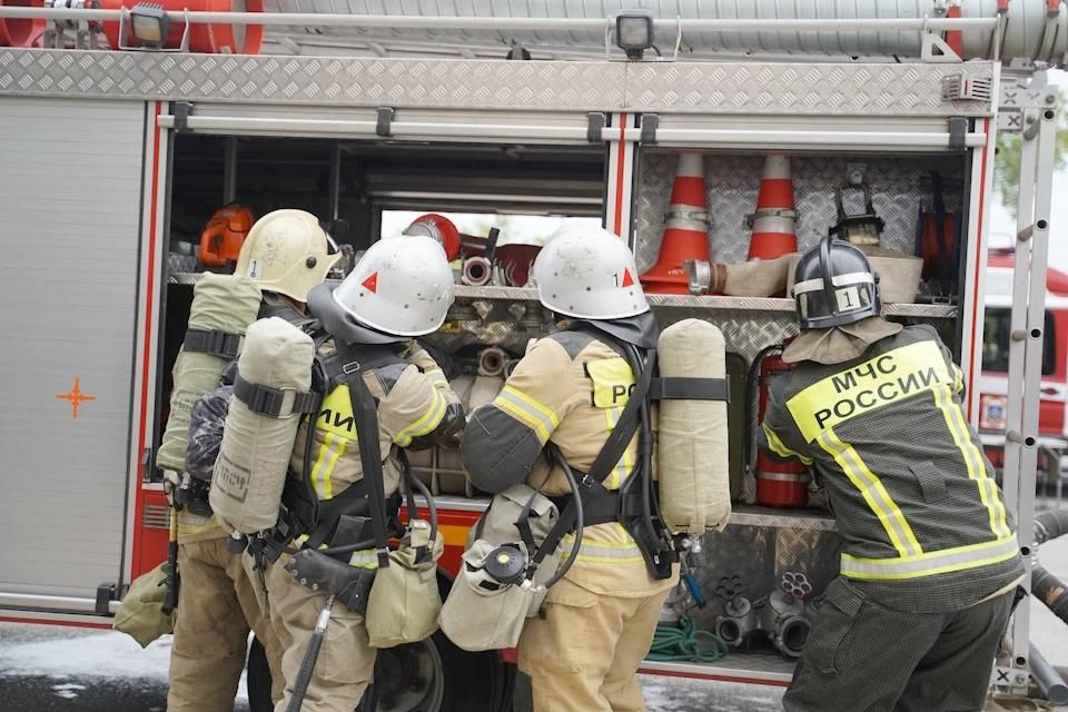 � ���������� ������� �������� ��� ����������� ������