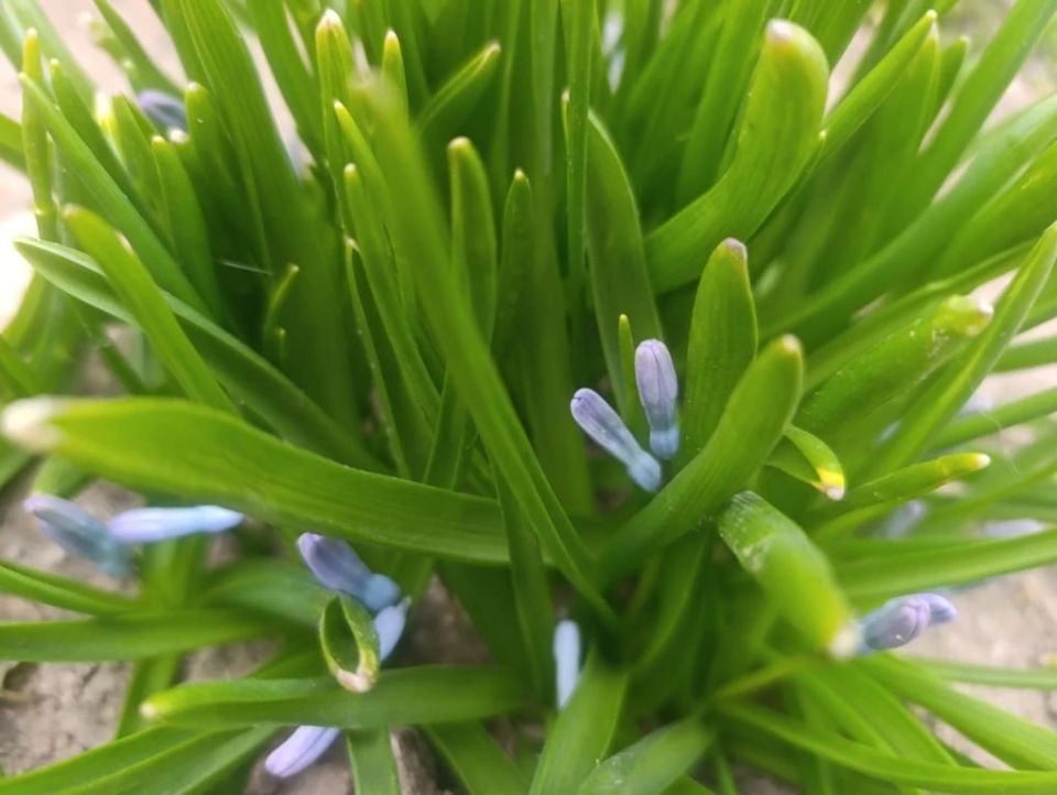 ������ ����, ������ � ����� ����������� ������!