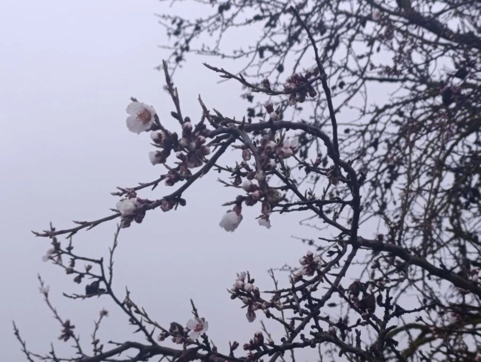 � ���� �� ����� ��������� ������, ����� � ���� - ����� �� �������