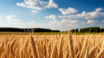 ������� ���������� ������� ����������� 23 ����� ������ �������, ������� ���� �������