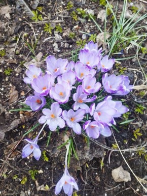 � ������ �����, �������!. ������� �����, 25 �����