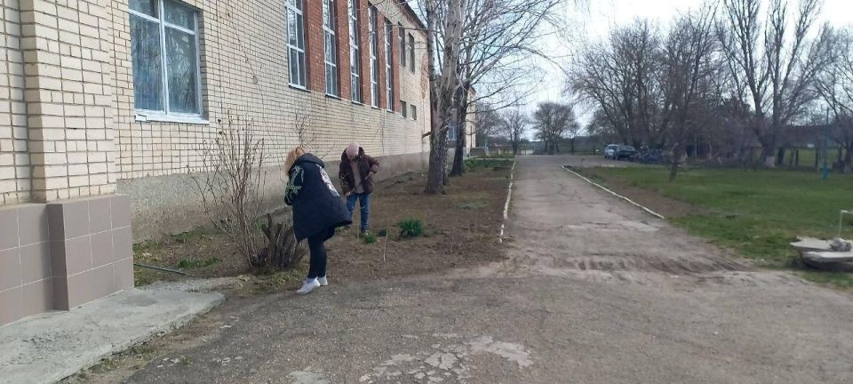 ��������� � �������� �������� ���� ��������: ������� � ���� �����