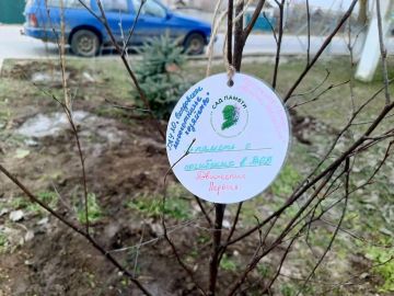 � ��������� �� ���������� �����-������������������ ����� ������ ������������� ����� "��� ������"