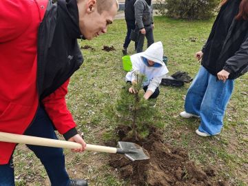 ���� ������ � ����������� �����