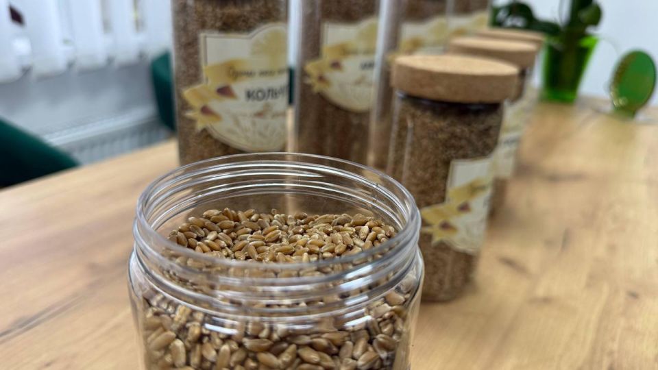 ���������� ������� ������������ 23 ����� ������ �������, ������� 7 �������