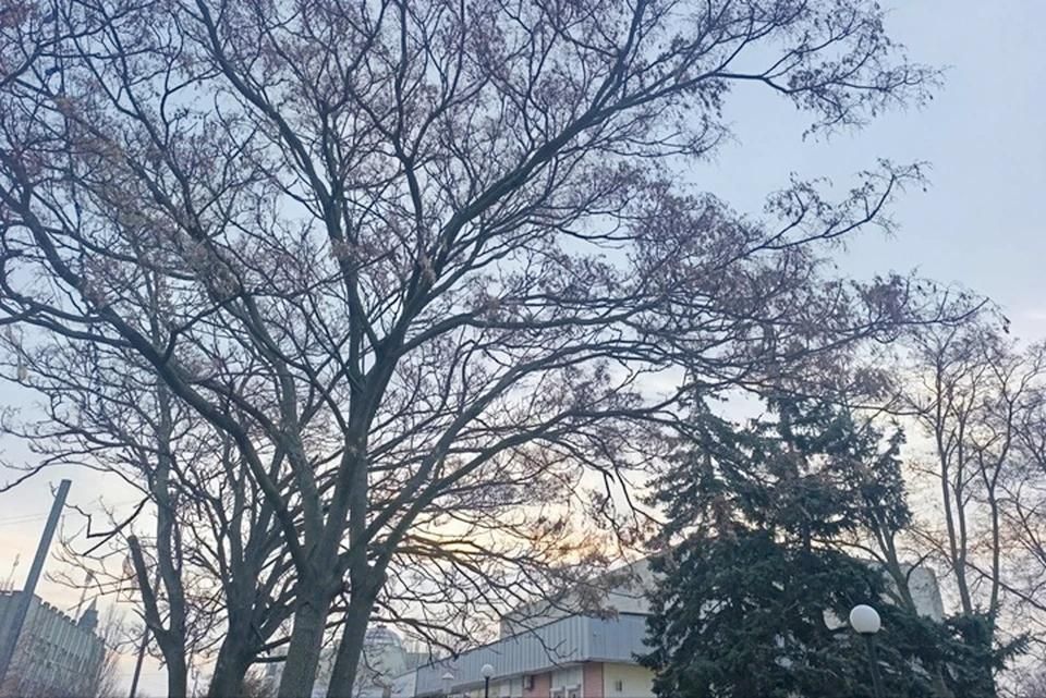 ������ ��������� �� ��������: ����� ����� ������ � ���������� ������� 25 ����� 2026 ����