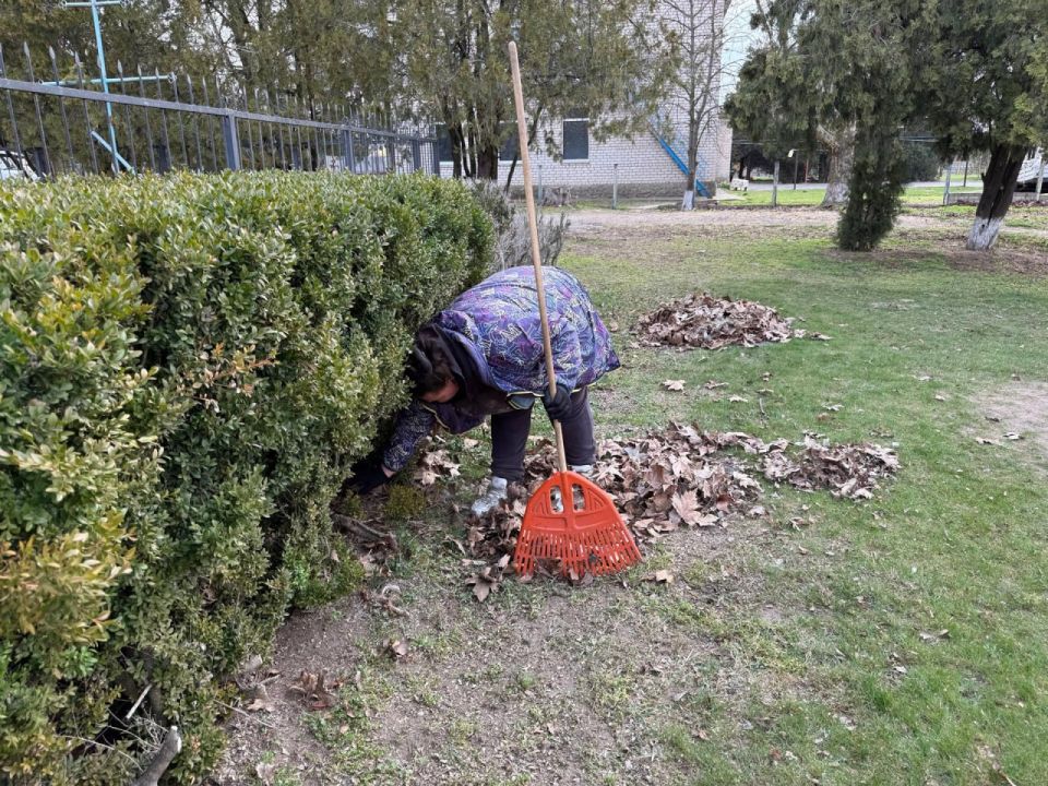 ��� ����������� ������� ������ � �� ��������