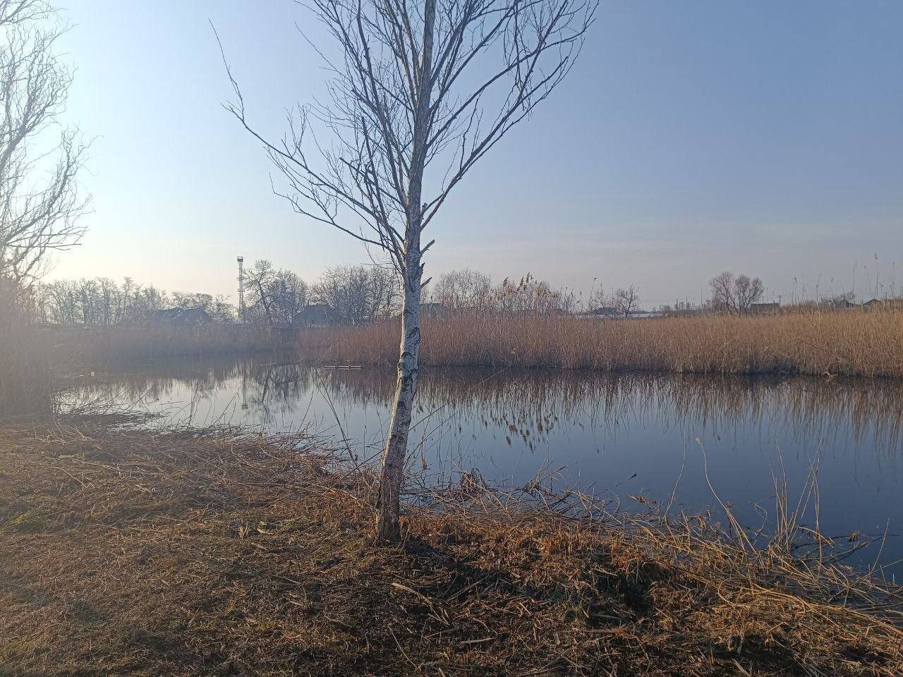 Ученые впервые оценили экологический ущерб Донбассу и Новороссии за постсоветский период