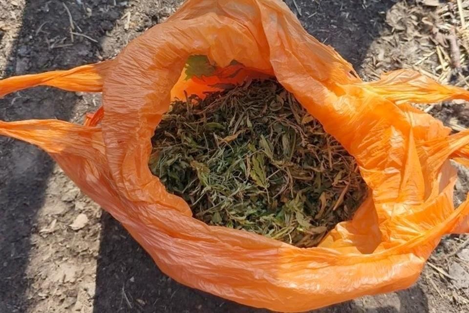 � ����� ������� ����������� ������ � �������� ������ ������ �������