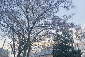 Какой будет погода в Херсонской области 26 марта 2026 года