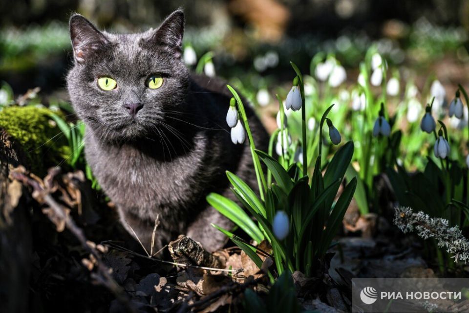 ������ �� ����� ����������� ������