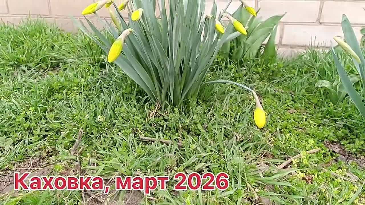 Доброе утро, дорогие наши подписчики!