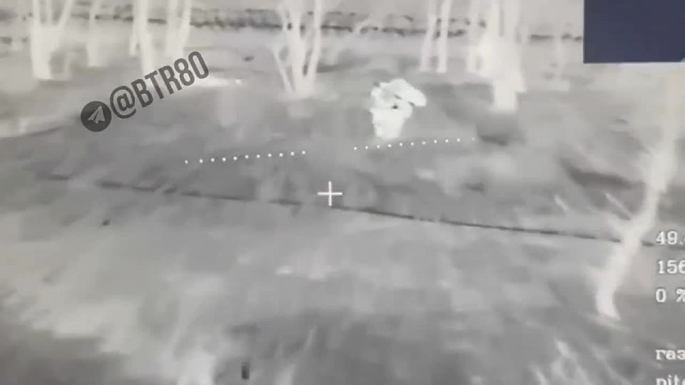 ���� ��������� �������� ���������� �������� ���