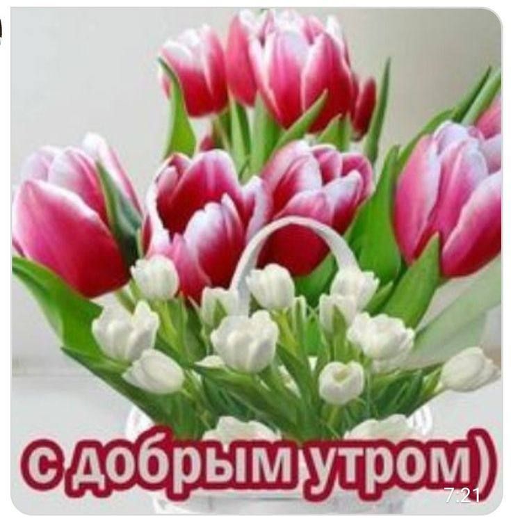 Доброе утро, округ!. Сегодня четверг, 26 марта