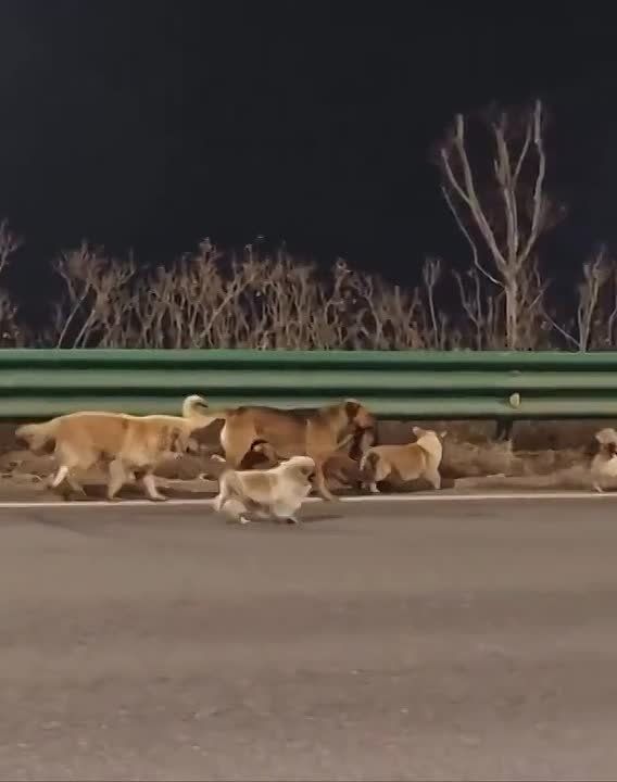 ���������� � ����� ������ ������� �� ����� � ������ ��������� � ��������, ������ �� ������ 17 ��