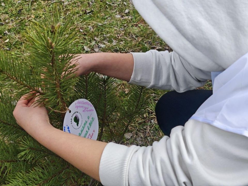 ���� ������ � ����������� ����� ����������� ������