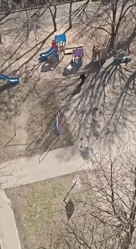 ���� �� �������: �����. ���������� ������� ���������� ��������, ������� ������ ����� ��� ������ �� ������