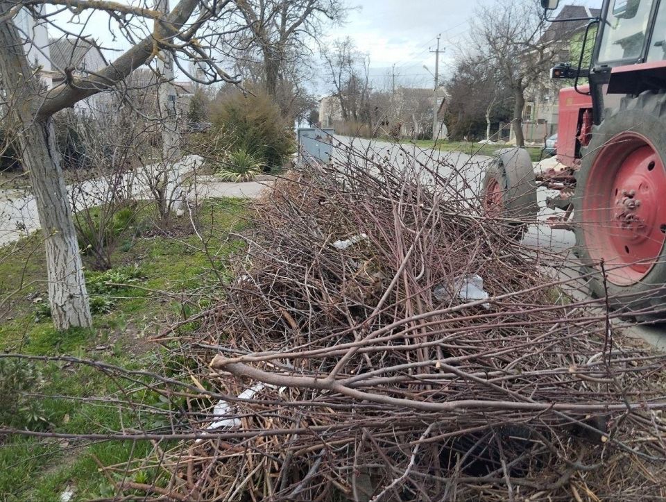 ��� �����������: ������ ��������� ������