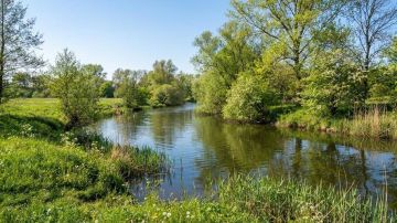 Дноуглубительные работы проведут на реке Каланчак в Херсонской области