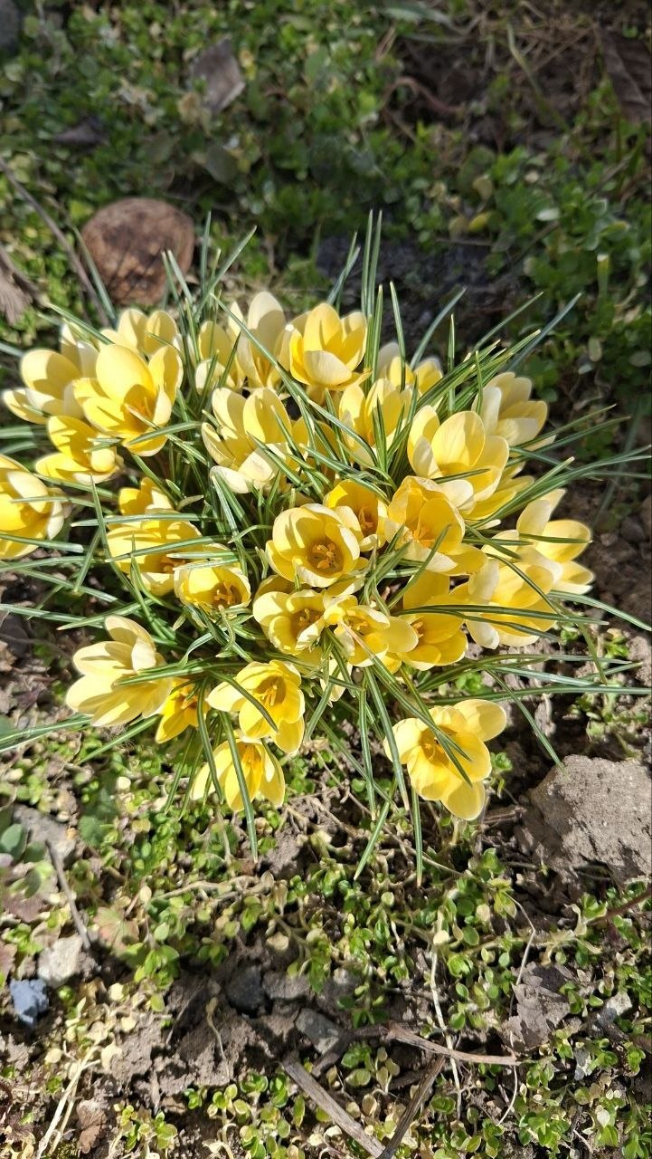 Доброе утро, Каховский округ!