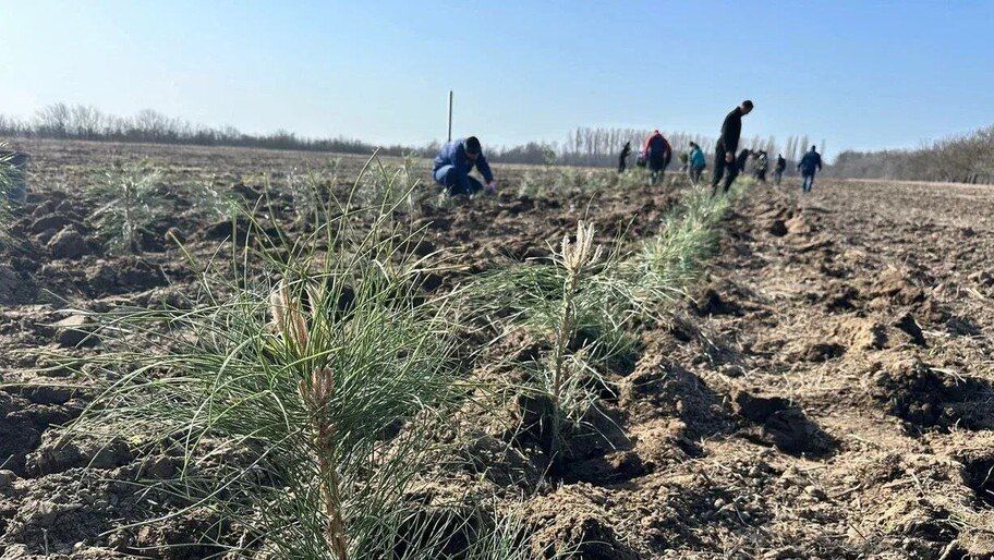 � ���������� ������� �������� 35 ���