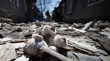 � ���������� ������� ��� ��������� ��� � 2022 ���� ������� 14 �����, 54 �������� �������