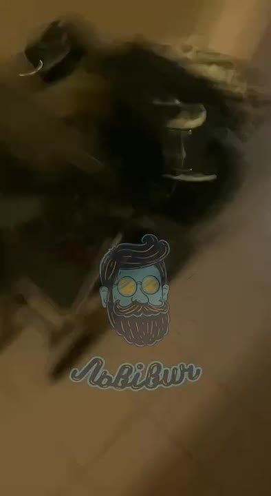 Енот из Херсона: Львов. Басурмане встретились с местными гестаповцами и не смогли найти общий язык