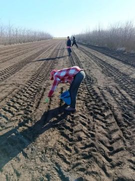 ���������� �������� �������: ����������� �������� ��� ����������� � ���� ���������