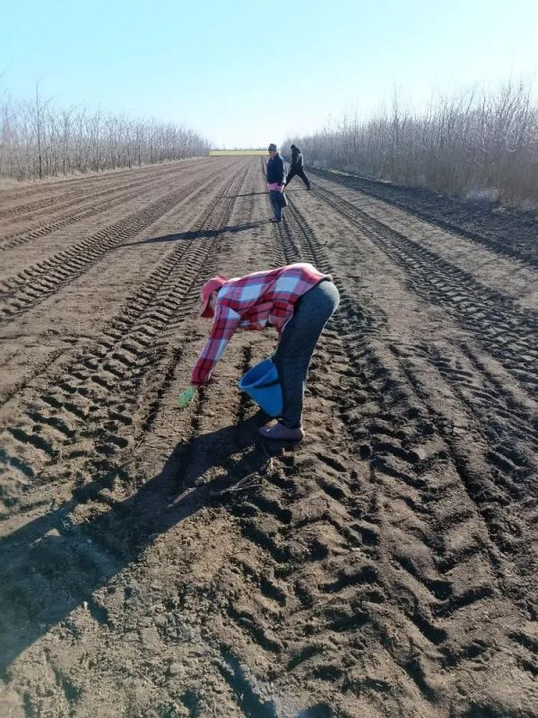 ���������� �������� �������: ����������� �������� ��� ����������� � ���� ���������