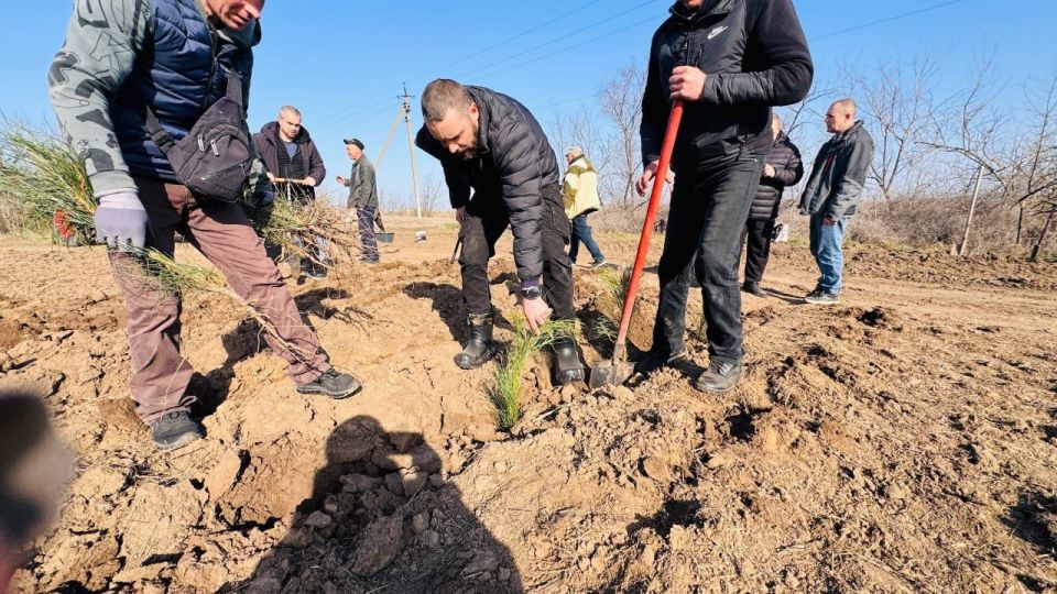 � ����� �������� ������ ���������� ������� �����