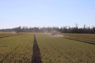 � ���������� ������� ������� ��������� ������